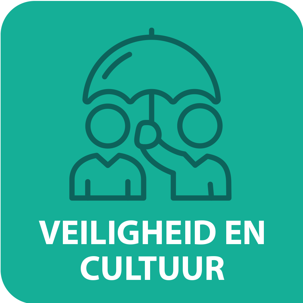 veiligheid en cultuur