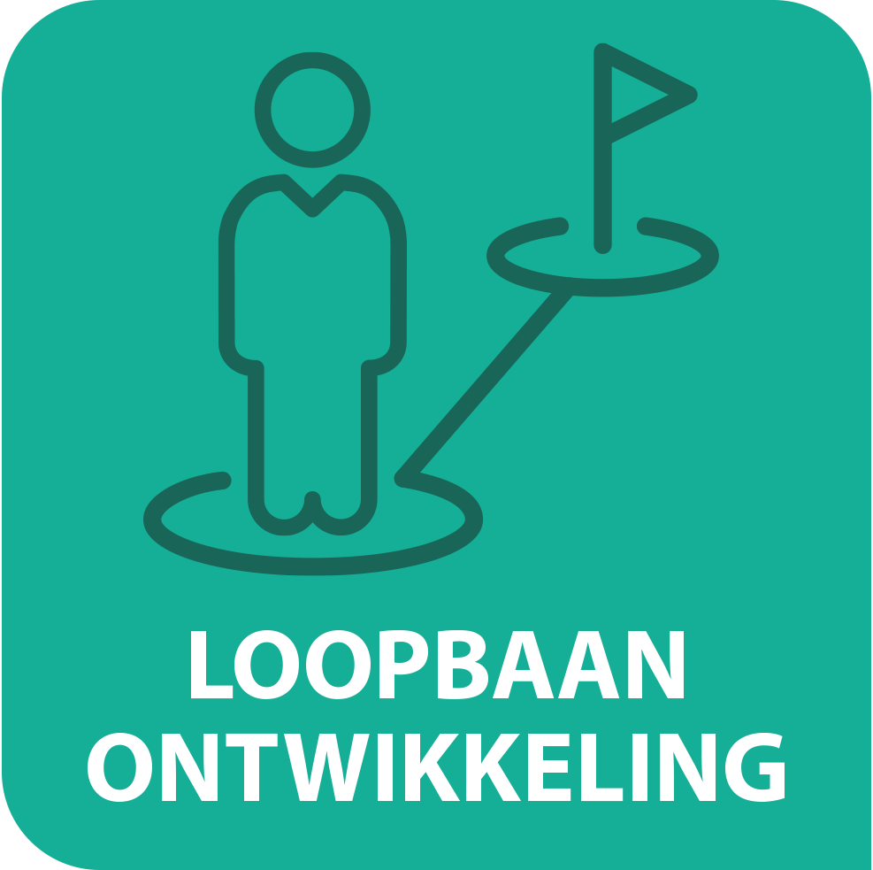 loopbaan ontwikkeling